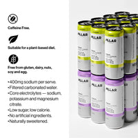 PILLAR - Sparkling Electrolyte Hydration RTD - Passionfruit