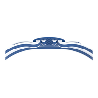 Speedo - Vanquisher 3.0 Mirror Goggles - Team Blue/Steel/Silver Mirror